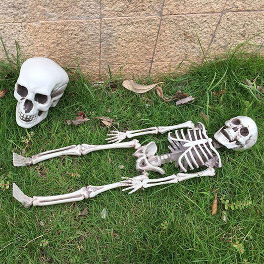 Realistic Plastic Skull Skeleton Haunted House Decoration